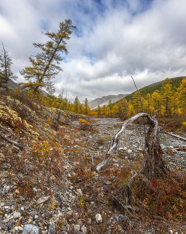 Ручейphoto preview