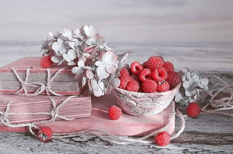 Натюрморт лето малина книги Гортензия радость  любовь Малиновые  воспоминания photo preview