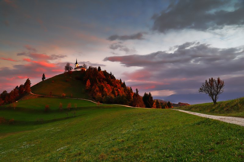 slovenia, morning, sunrise, light, autumn, color, church, hill, tree, road, sky, cloud, Pilgrim\'s eyephoto preview