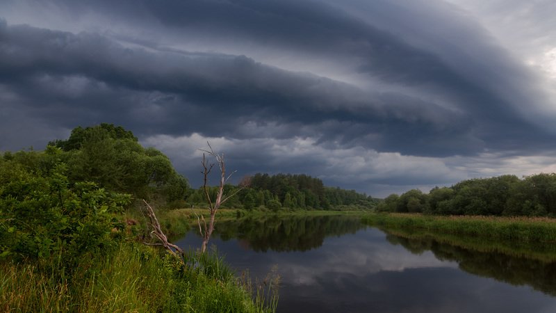 тучи, лето, река, отражение, травы, берег Надвигается... фото превью