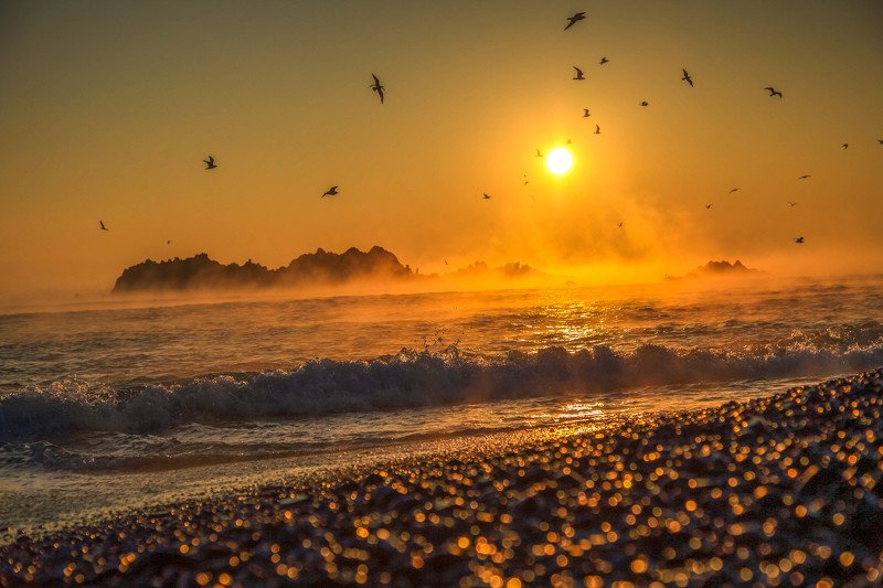 Tomb of kingphoto preview