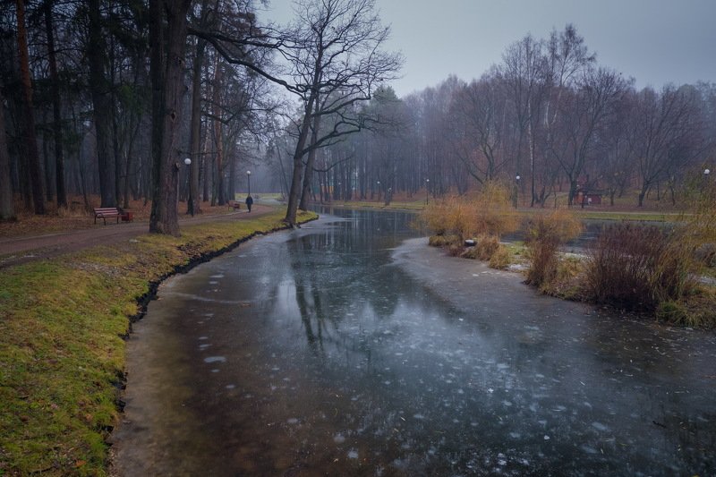 fujifilm x-a5 kit без штатива Декабрь в лесу (тест Fujifilm X-A5 Kit)photo preview