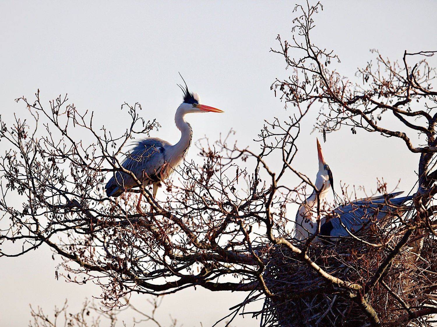, Мазурин Евгений