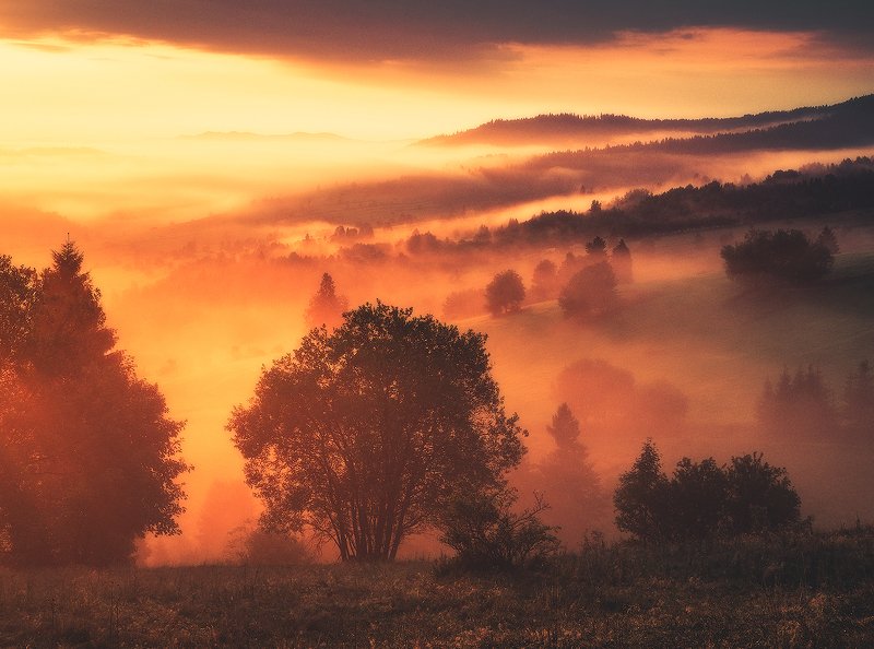 landscape, photogrpahy, love, nature, globalshotz,amazing,place,foggy,sunrise Foggy Sunrisephoto preview