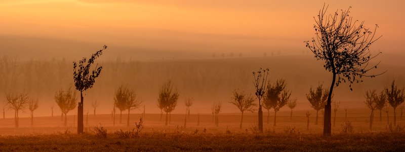 Пробуждениеphoto preview