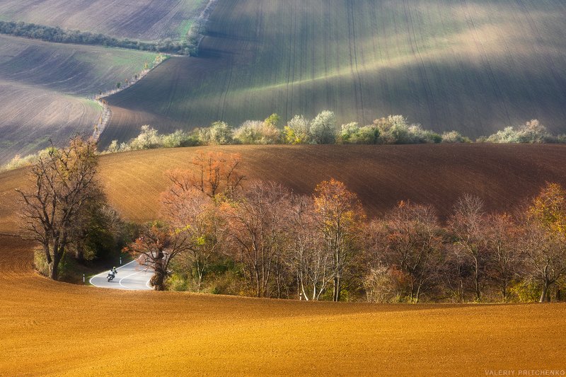 morava, moravia, landscape, nature, autumn, моравия, южная моравия, природа, пейзаж, осень Моравская осеньphoto preview