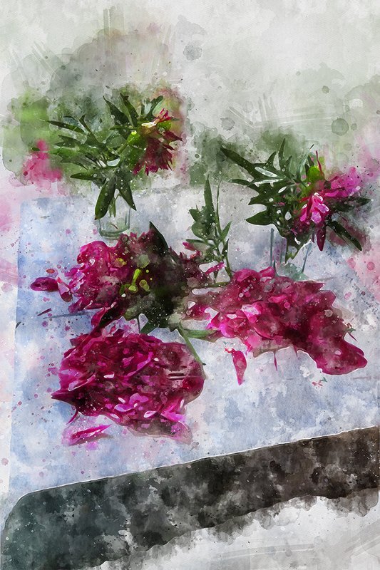 арт фото красиво натюрморт акварель АКВАРЕЛЬ 30photo preview