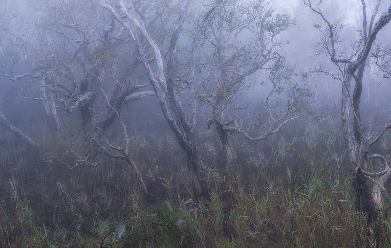 Странные танцыphoto preview