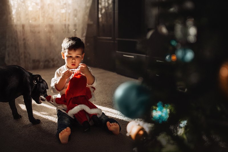 мальчик, собака, новый год, дед мороз, елка, кусь, шарик, свет, луч,  photo preview