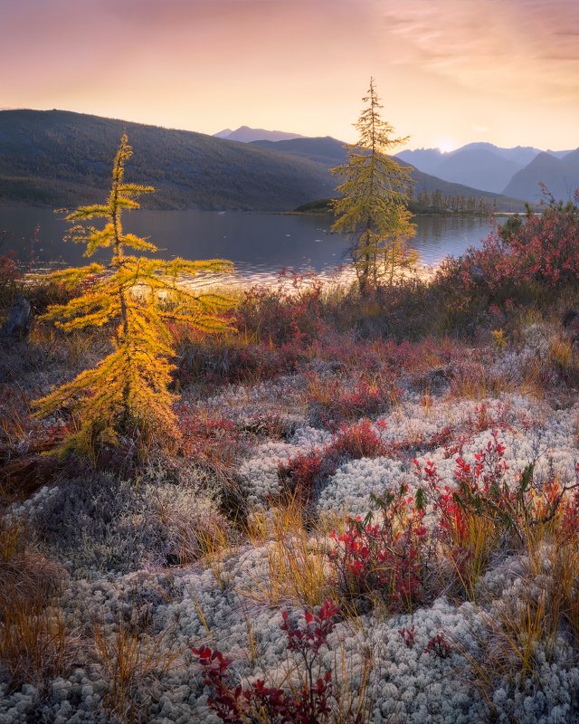 озеро, колыма, озероджекалондона, закат По колымской перине из мхаphoto preview