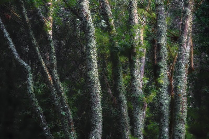 Divisionphoto preview