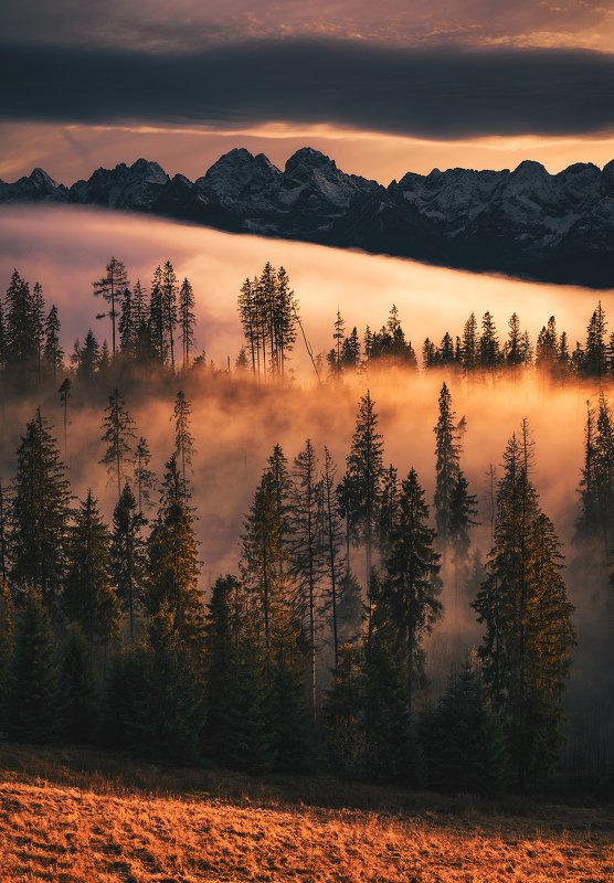 sunset, colorful, amazing, place, tatra, mountains, love, nature, globalshotz, forest, orange, clouds Colorful Sanset...photo preview