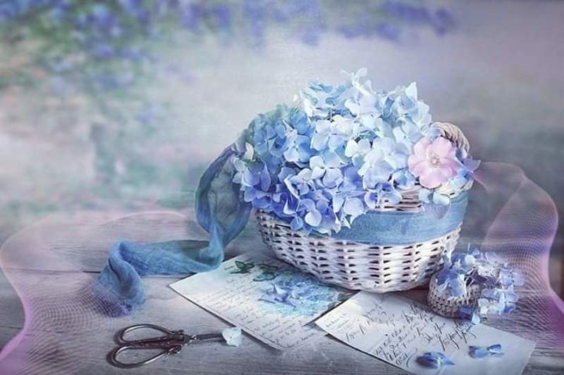 Натюрморт лето корзина голубая Гортензия букет ножницы письма  Утро, новый день, новые надежды... photo preview
