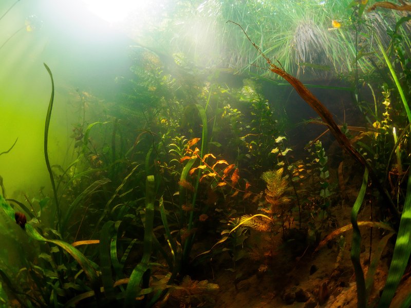 Обратная сторона реки.photo preview