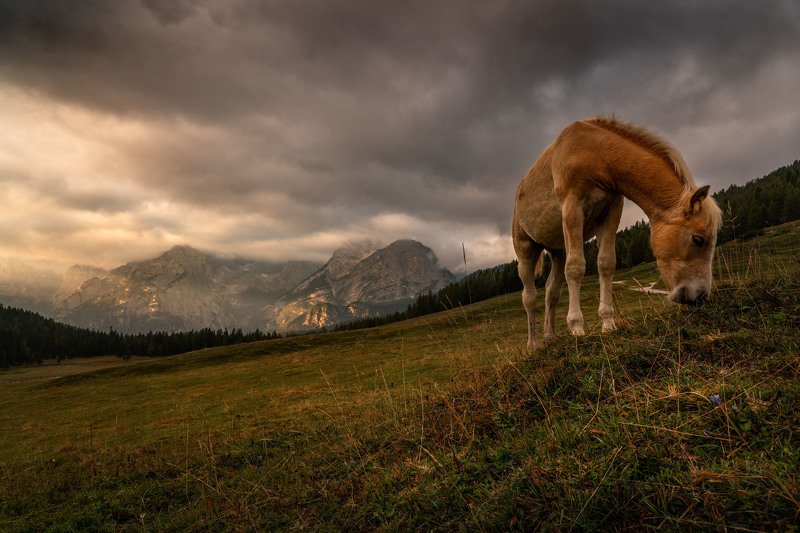 Завтракая в Альпах photo preview