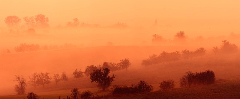 Golden fogphoto preview