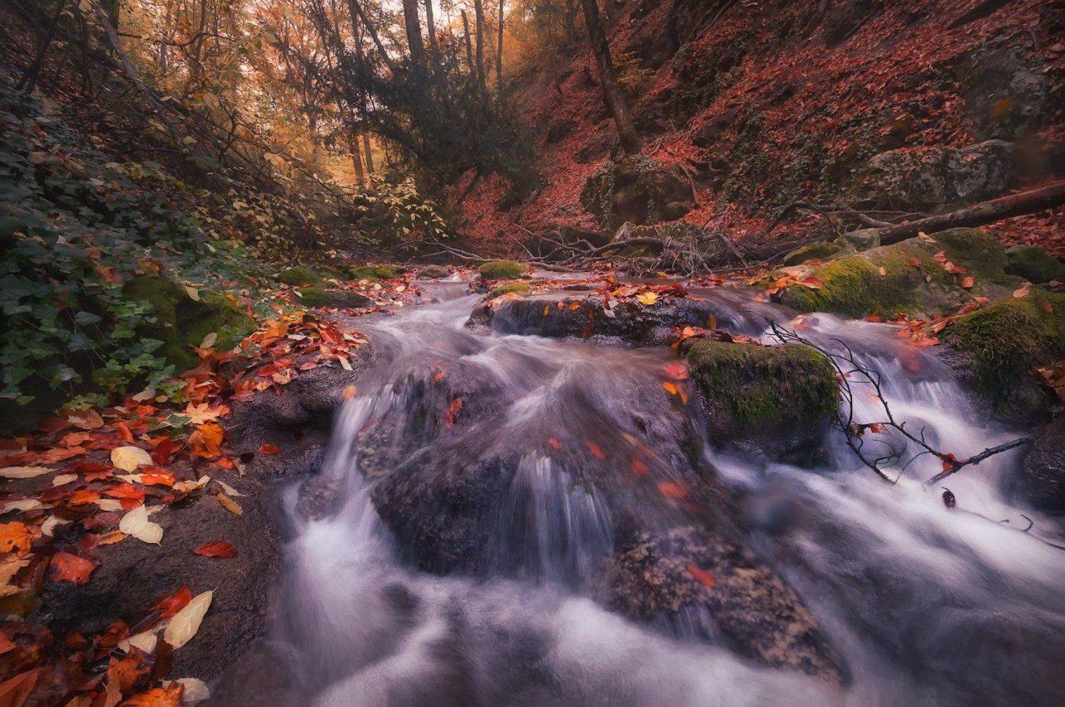 , Жмак Евгений