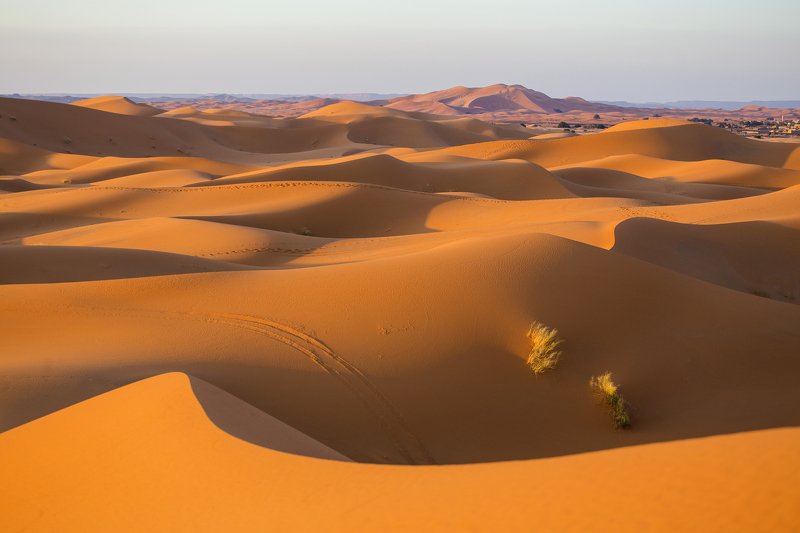 Пустыня Сахара. Марокко фото превью