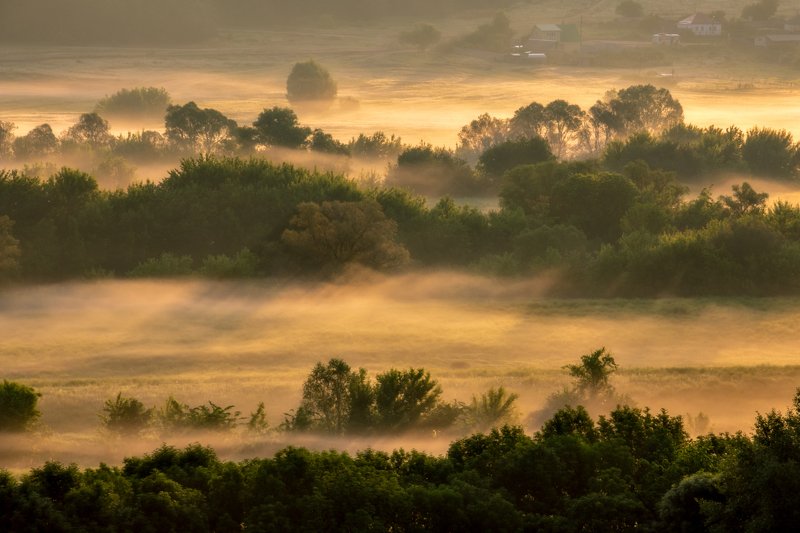 sunrise dawn morning sunlight landscape nature fog mist river outdoors Golden shorephoto preview
