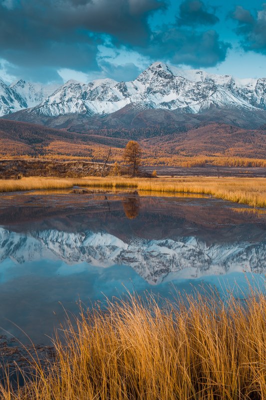 алтай, осень, золотая осень, горы, пейзаж, утро Утроphoto preview