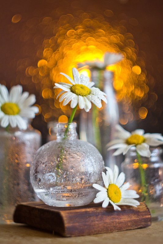 ромашки, натюрморт, боке, цветы, брызги, вода, закат, солнце, бутылки, банки, стекло, красивый, лето, still life Ромашковое настроениеphoto preview