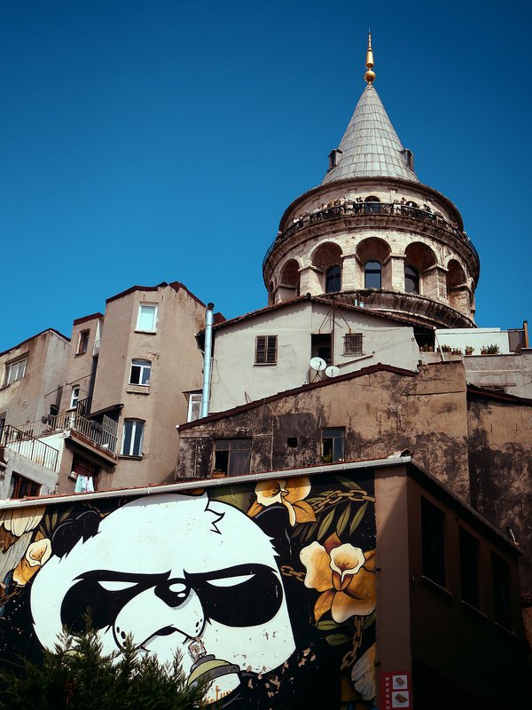 istanbul, стамбул, турция, путешествия, архитектура, olympus, em10 Galata tower фото превью
