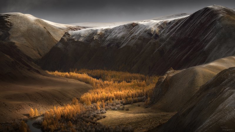 алтай, горы, чуйская степь,долина, осень, лиственницы, чуя Долина осениphoto preview