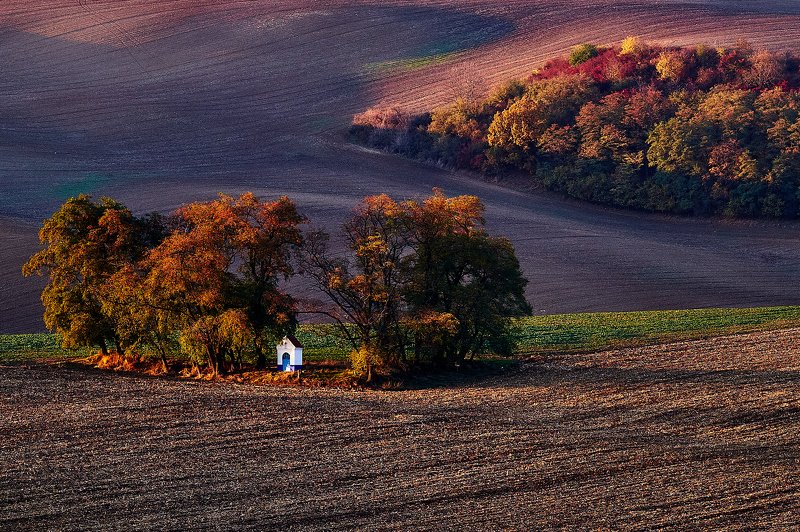 южная моравия, чехия, весна,  south moravia, czech Осенние краски Моравииphoto preview