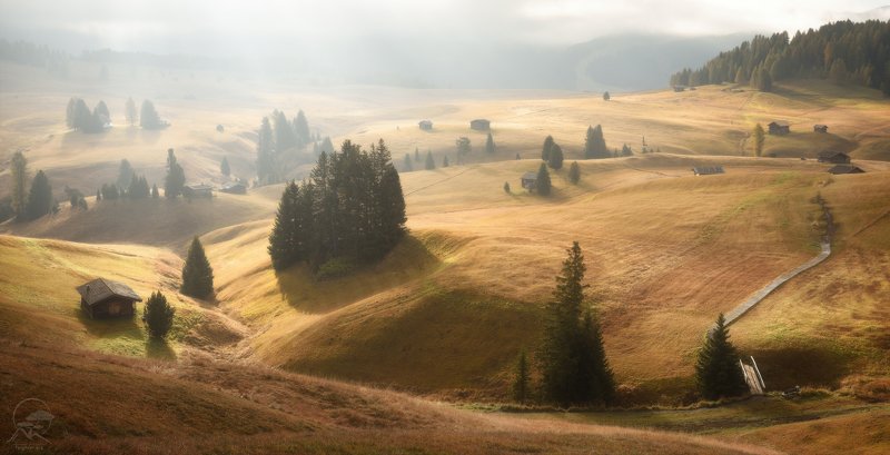 горы, альпийские луга, италия, доломиты, альпы, осень, рассвет, пастораль Альпийское утроphoto preview