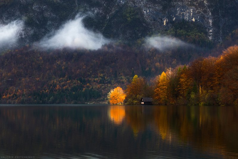 slovenia, bohinj, autumn, nature, landscape, словения, бохинь, осень, пейзаж Освещая осеньphoto preview