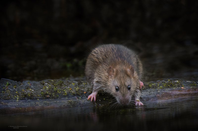 Когда же зима ?photo preview