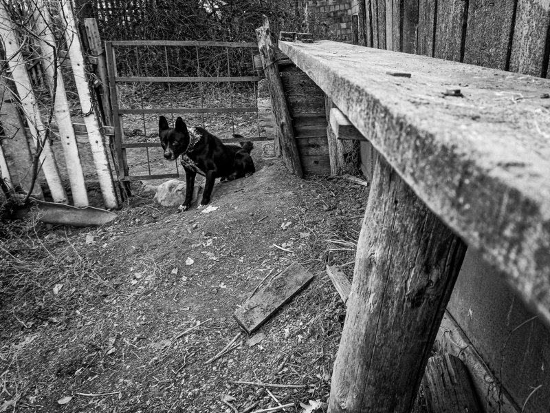 Интересphoto preview