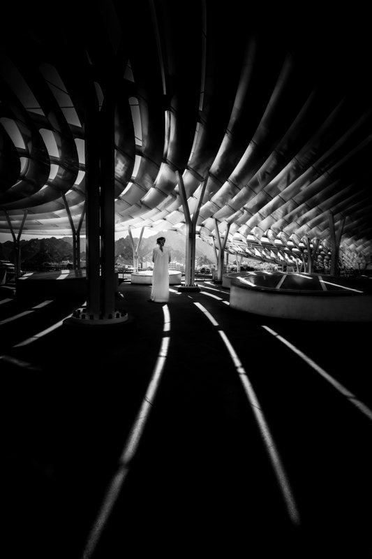 black and white  Looking to runphoto preview