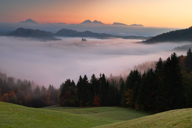 slovenia, morning, sunrise, autumn, church, earth, sky, mist, fog, tree, hill, forest Between earth and sky...photo preview