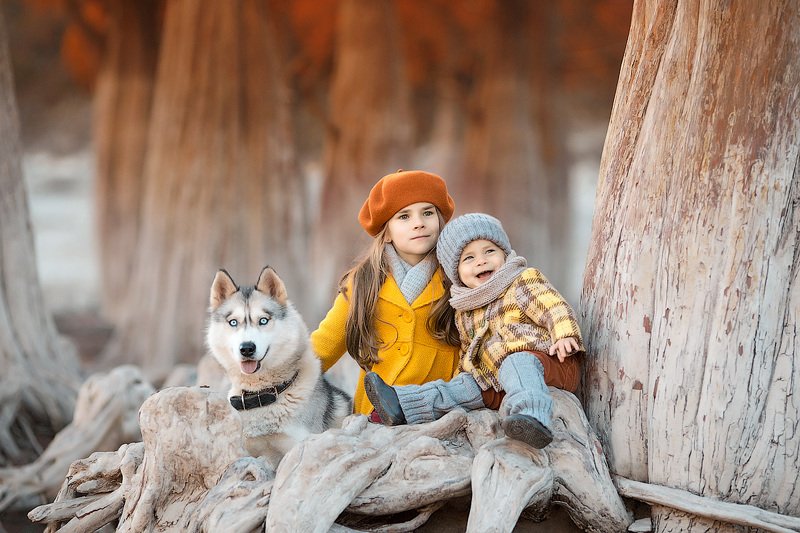 фотопрогулка, детская фотосессия, осень, кипарисы, дети, детская фотосессия, детский фотограф, фотосессия, радость, девочки, счастье, детский и семейный фотограф, детское фото, дети на фото, красотки, красивые девочки, подружки, сестрички *****photo preview