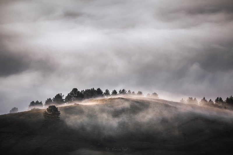 Flooding with fog. фото превью