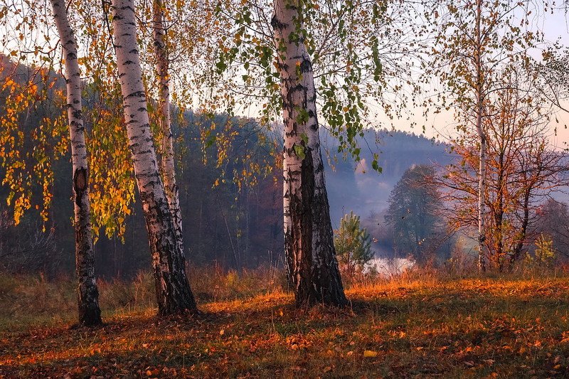 Нарисуй художник осеньphoto preview