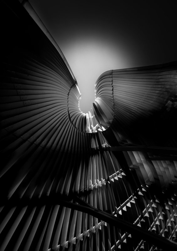 black and white Angel Suitephoto preview