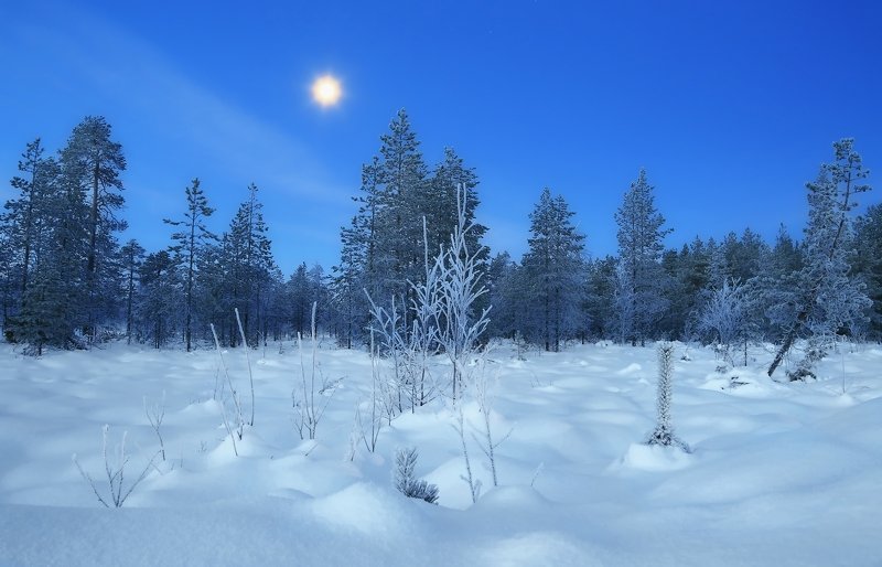 зима снег утро рассвет photo preview