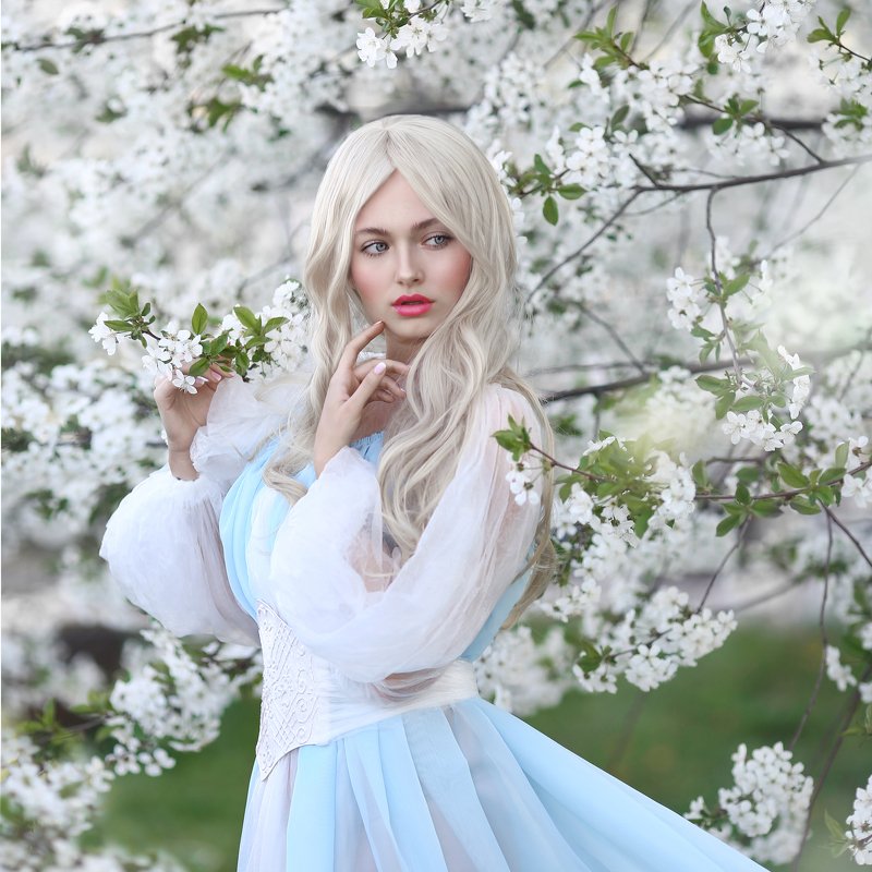 цветущая вишня, блондинка, белые волосы, весна, цветение, вишневый сад, голубое платье photo preview