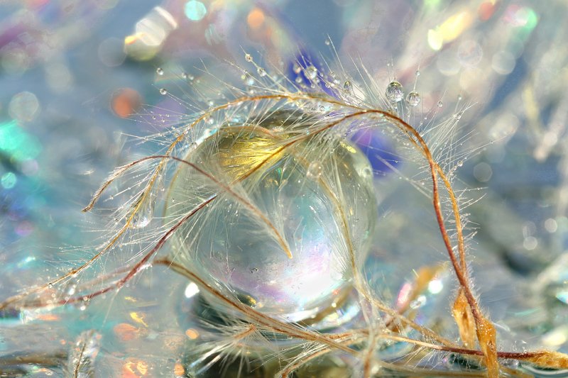 шар, стекло,  капли, боке Бокешкиphoto preview