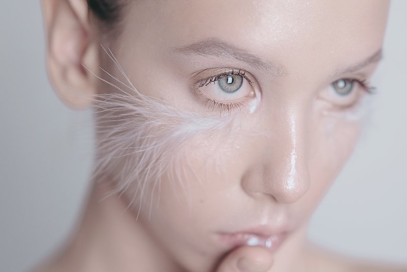 White Birdphoto preview