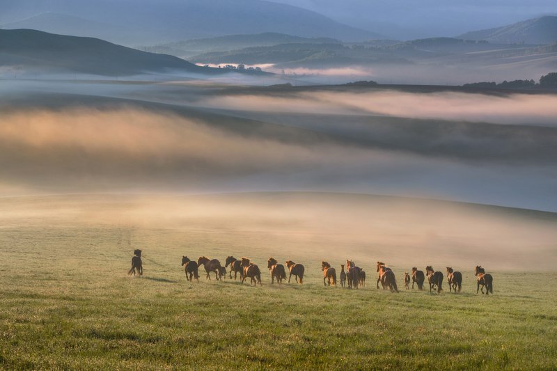 .......photo preview