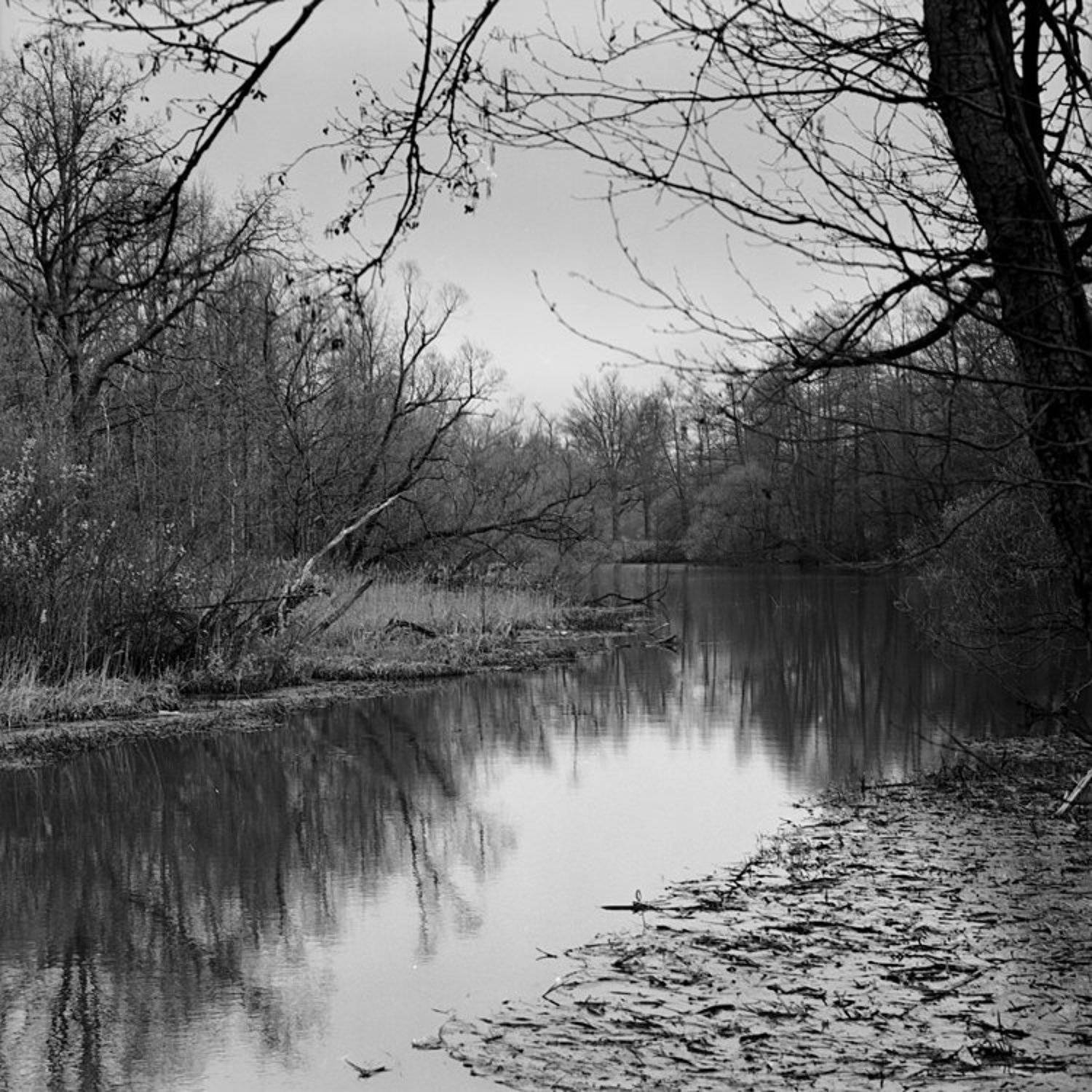 Пенза, Ахуны 2. Автор: Андреев Андрей пленка, hasselblad, Андреев Андрей