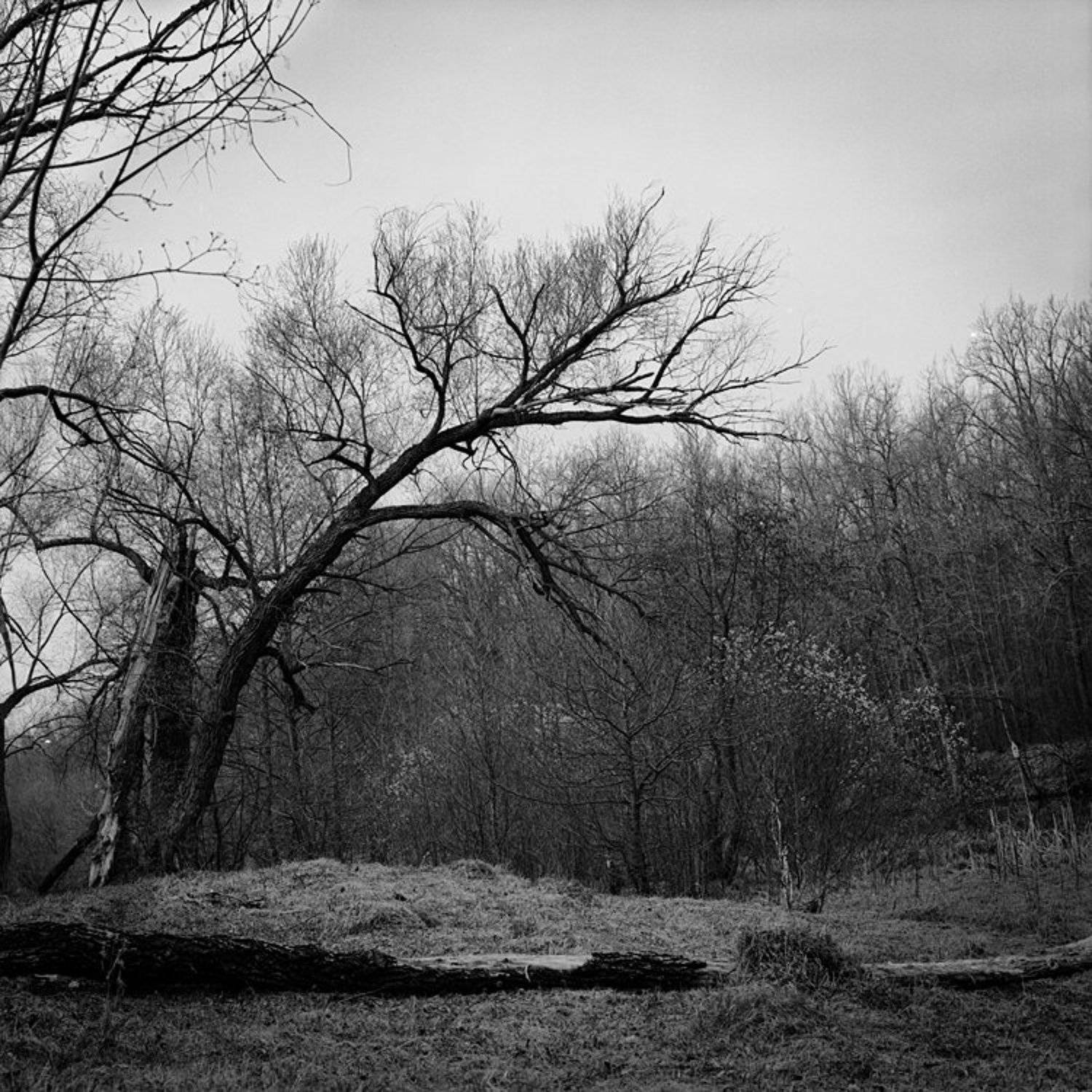 пленка, hasselblad, Андреев Андрей