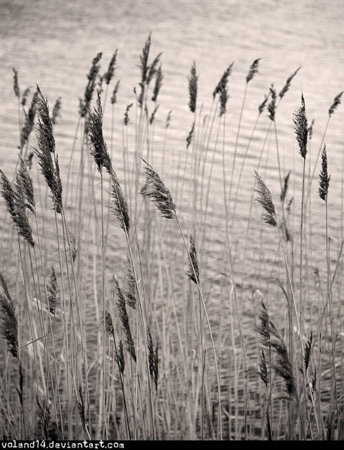 Silence must be sexy. Автор: Воланд Ратибор , Воланд Ратибор