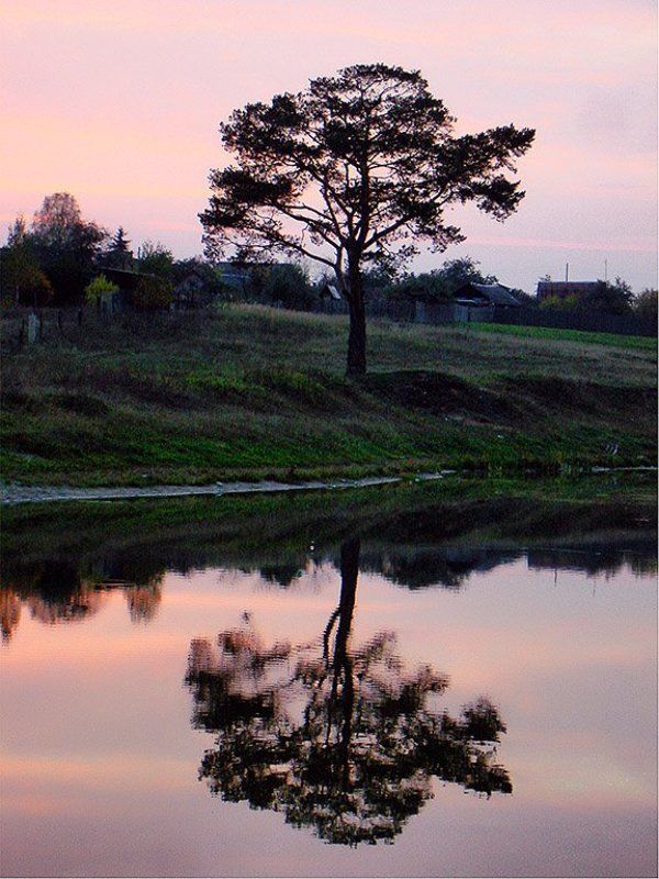 Отражение истиныphoto preview