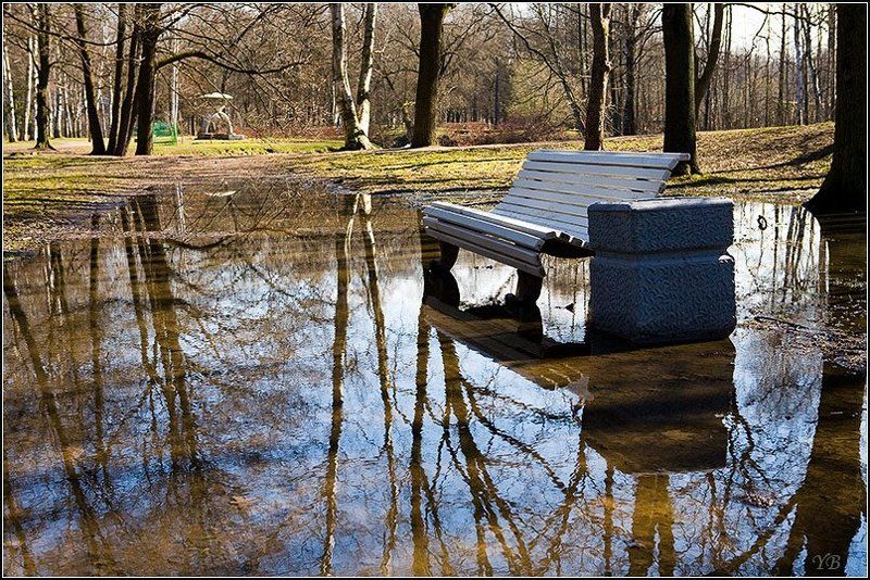крестовский, остров, весна весна на Крестовскомphoto preview