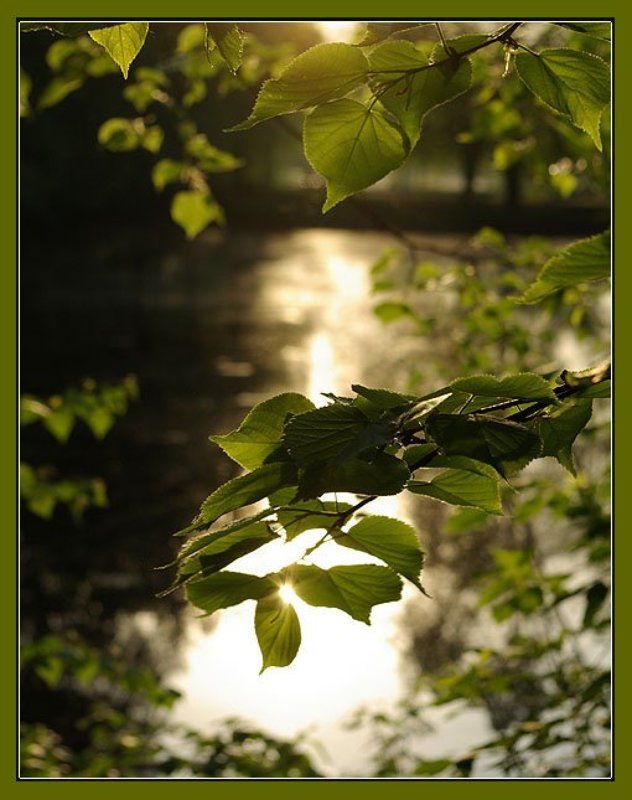 вечер,парк Вечерняяphoto preview