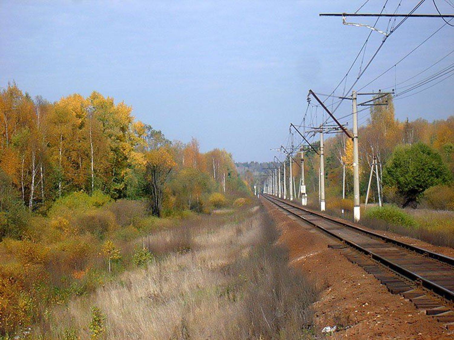 Дорога в осень. Автор: Игорь , Игорь